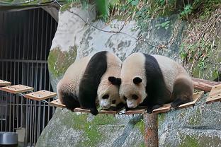 李凯尔送新年祝福：感谢一年来的支持 祝大家新春快乐 龙年大吉